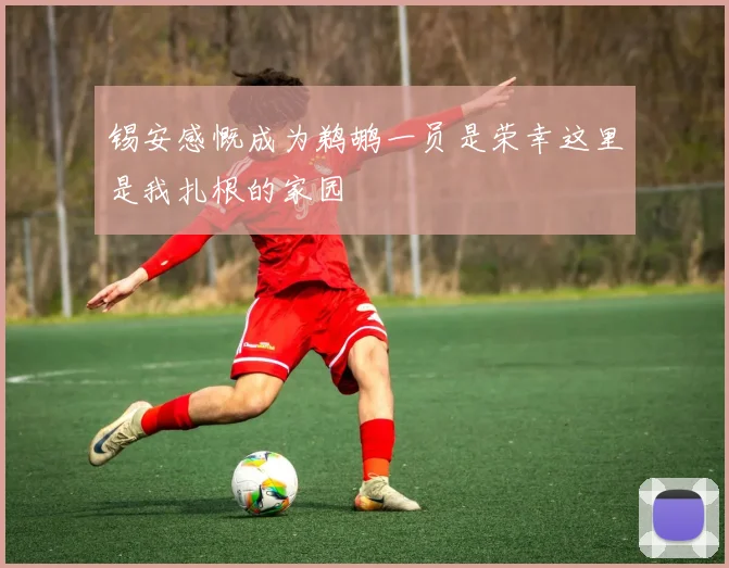 锡安感慨成为鹈鹕一员是荣幸这里是我扎根的家园