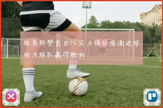 路易斯赞首尔FC实力强劲感谢进球助力球队赢得胜利