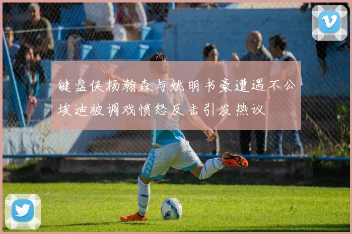 键盘侠杨瀚森与姚明书豪遭遇不公埃迪被调戏愤怒反击引发热议