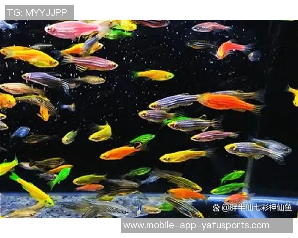 今日趣图：探讨鱼缸中的咸水鱼与淡水鱼共存的可能性与挑战